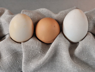 Eggs