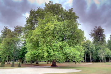 Parc à l'anglaise