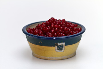 bowl of redcurrant