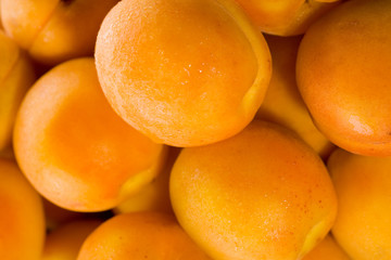 Fresh natural apricot background