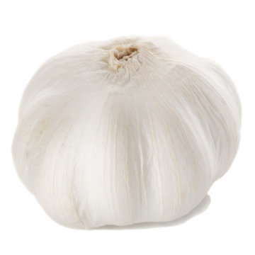 Fresh garlic head isolated on white