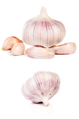 isolated garlics