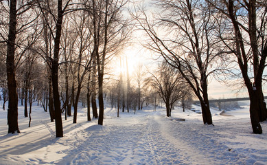 Solar winter landscape