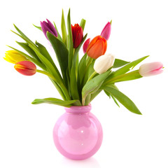 Colorful tulips in glass vase