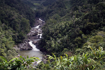 Regenwald Ranomafana