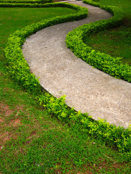 curve path