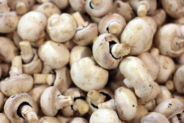 Champignons