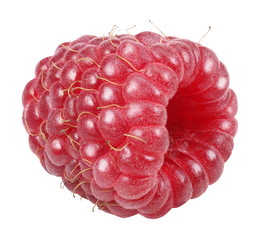 Raspberry. The object contains a path to isolation
