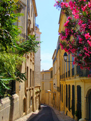 Flowers lining a narrow street in old Montpellier, France