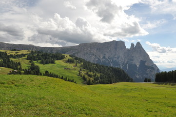 Fototapeta na wymiar Alpe di Siusi