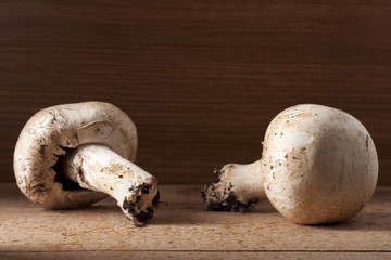 Two Champignon Mushrooms