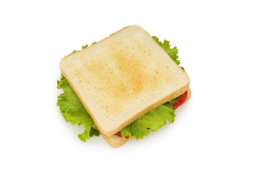 Tasty sandwich isolated on the white background