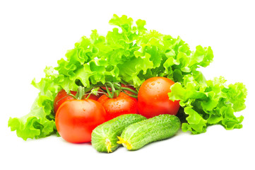group of tomatoes, cucumbers and salad