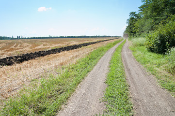 Fototapeta na wymiar rural road near field