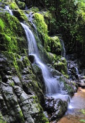 Fototapeta na wymiar Wodospad w Deep River, Asturia