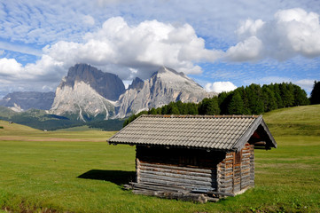 Fototapeta na wymiar Alpe di Siusi