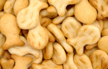 salted crackers