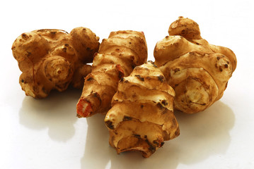 Topinambur - Helianthus tuberosus