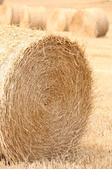 Round bale