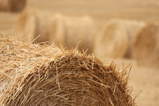 Round bale