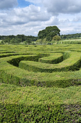 Maze made from a hedge