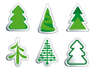 Obraz premium Christmas fur-trees