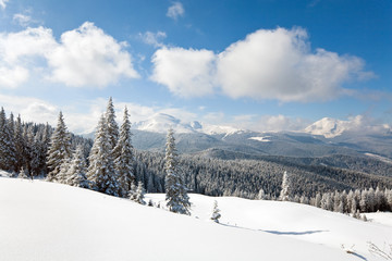 Fototapeta na wymiar Snowy krajobraz