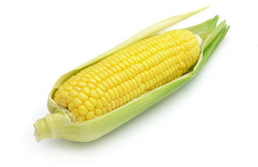 Corn