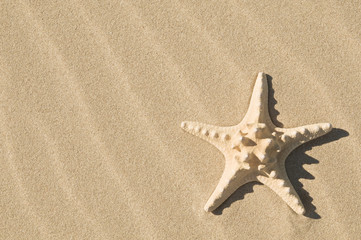 Fototapeta na wymiar Starfish and sand.