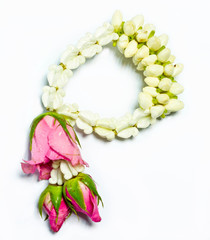 Fototapeta premium Jasmine garland