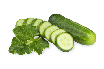 Cucumber with green sprouts isolated on white