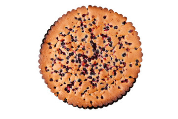 Blueberry Cake