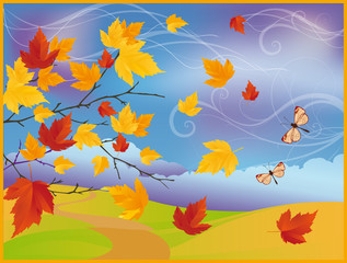 Fototapeta na wymiar Autumn card with maple tree. vector
