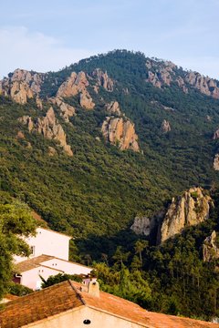 Massif du Tanneron (Provence)