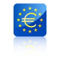 EU flag with euro sign vector