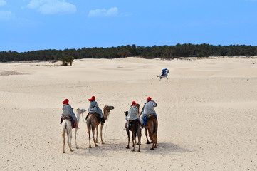 Sahara
