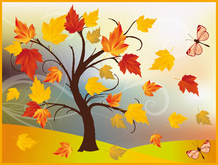 Autumn maple tree, background in vector illustration