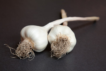 Two Garlic Bulbs