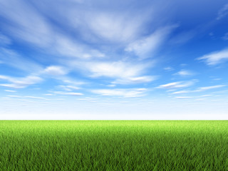 Fototapeta na wymiar Grass And Sky