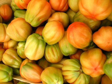 Tomaten auf dem Markt