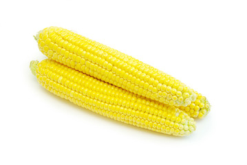 maize