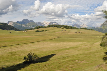Obraz premium Alpe di Siusi