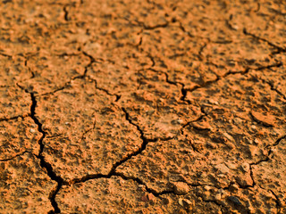 Fototapeta premium Cracked ground
