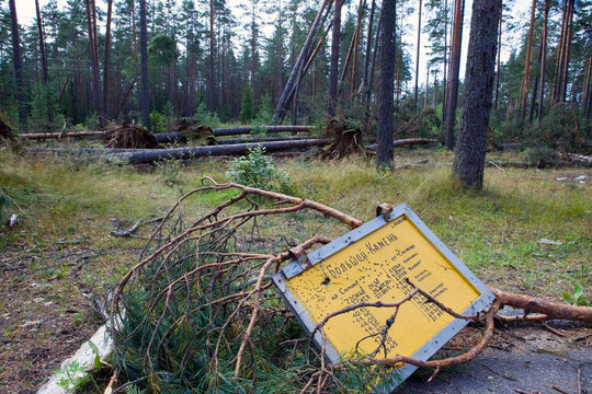 Consequences of hurricane "Asta", Russia.