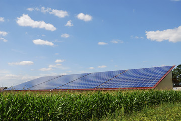 Alternative Energy