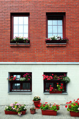 Fototapeta na wymiar Home wall and windows