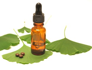 Ginkgo - Medizin