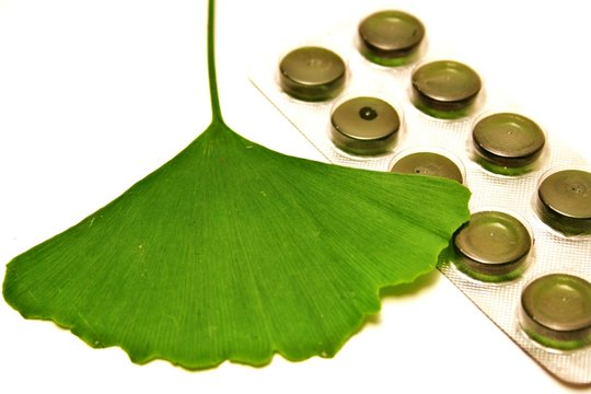 Ginkgo - Hom&ouml;opathie