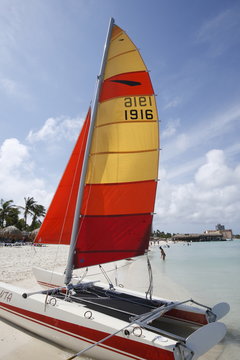 catamarano aruba