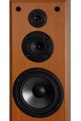 Audio Speaker System